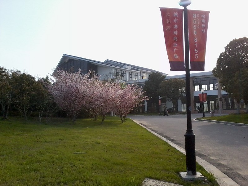 無錫太和灣商業(yè)廣場綠化設(shè)計施工